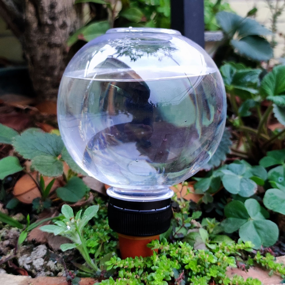 4 Pcs Automatic Watering Plant - Gardening Tools Green 评论和价格