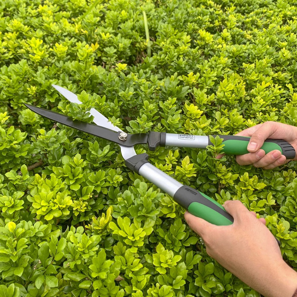 20 Inch Professional Hedge She - Gardening Tools Green 评论和价格