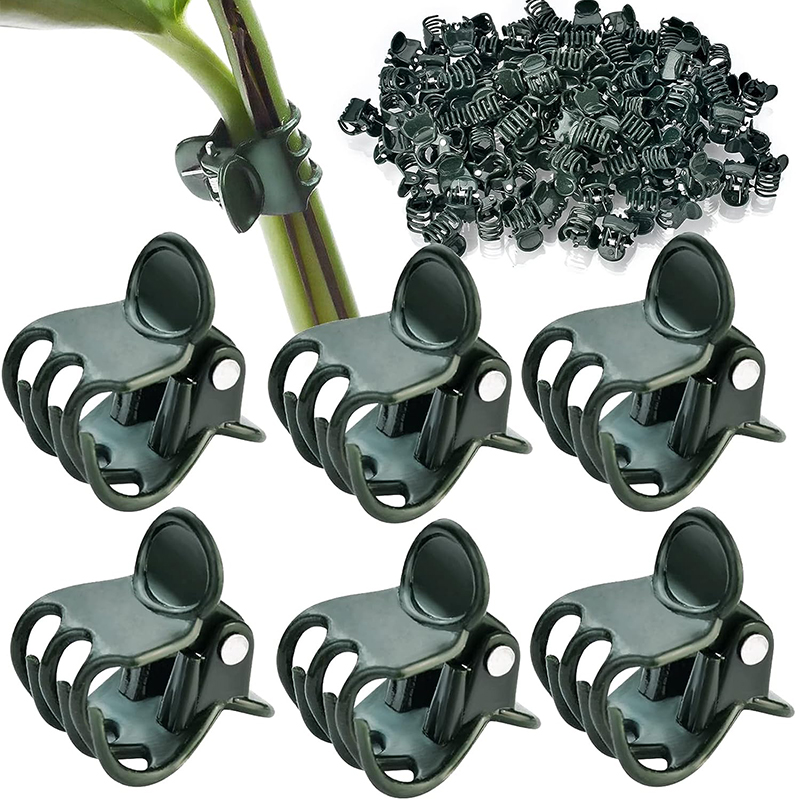 10/50/100PCS 6-Claw Dark Green - Gardening Tools Green 评论和价格