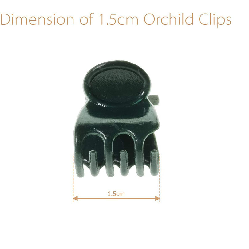 10/50/100PCS 6-Claw Dark Green - Gardening Tools Green 评论和价格