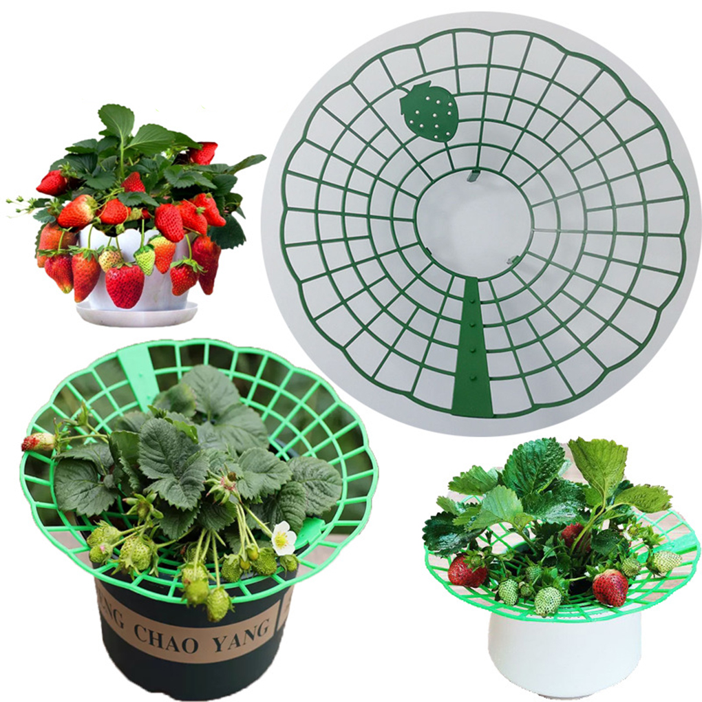 20PCS Strawberry Stand Green C - Gardening Tools Green 评论和价格