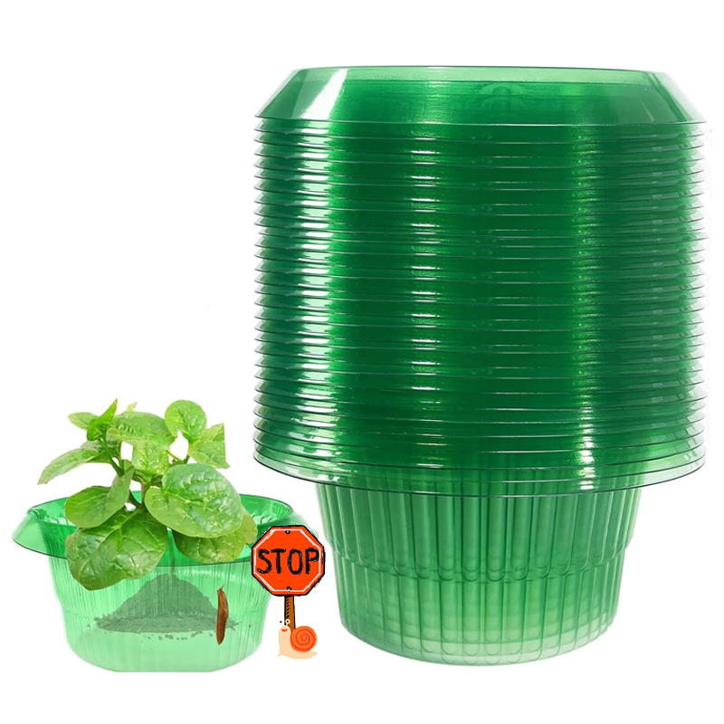 5-25Pcs Plants Slug Protection - Gardening Tools Green 评论和价格