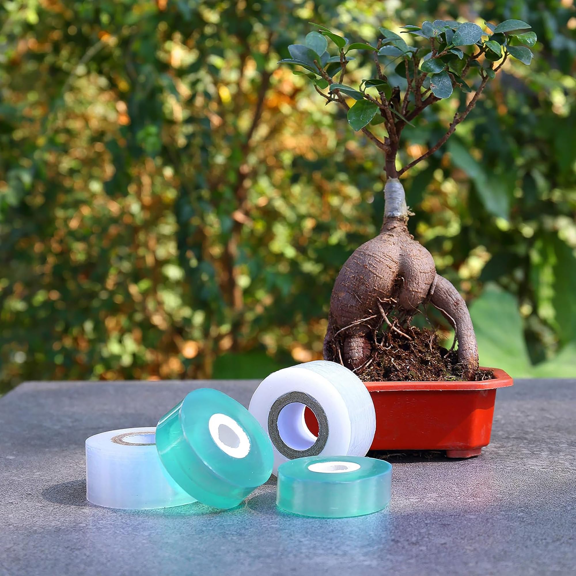 Easy Use Biodegradable Self Ad - Gardening Tools Uses 评论和价格