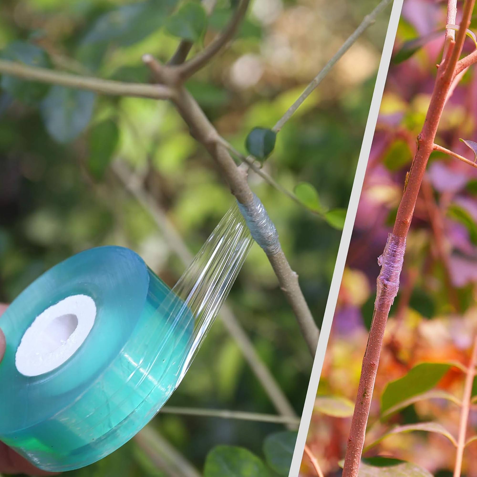 Easy Use Biodegradable Self Ad - Gardening Tools Uses 评论和价格
