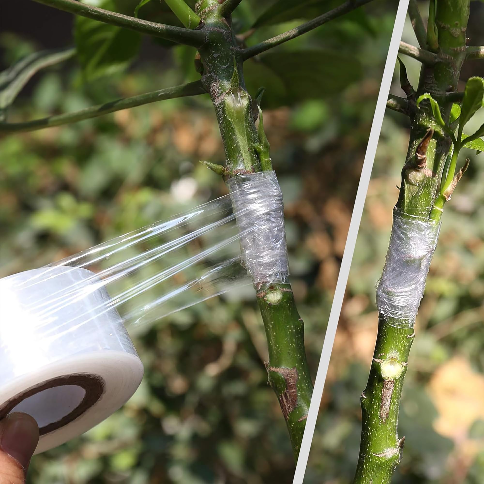 Easy Use Biodegradable Self Ad - Gardening Tools Uses 评论和价格