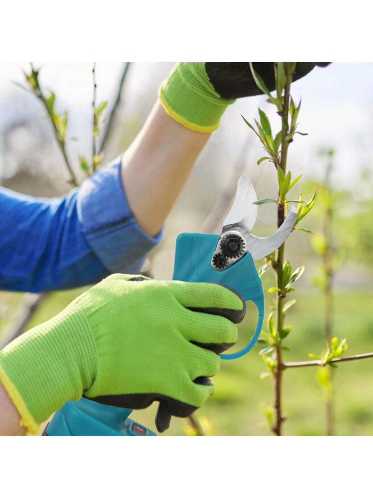4-in-1 Pole Pruning Shears, El - Pruning Shears 评论和价格