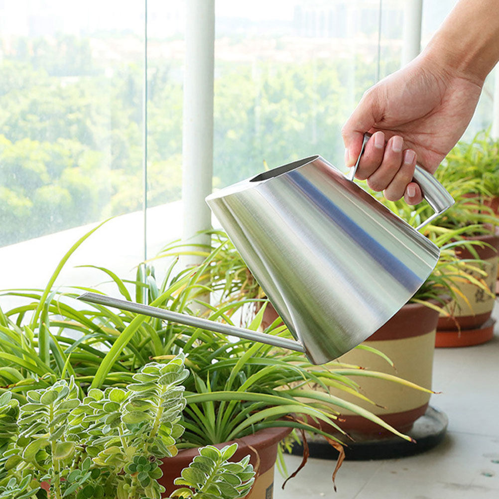 400Ml Stainless Steel Watering - Gardening Tools Watering Can 评论和价格