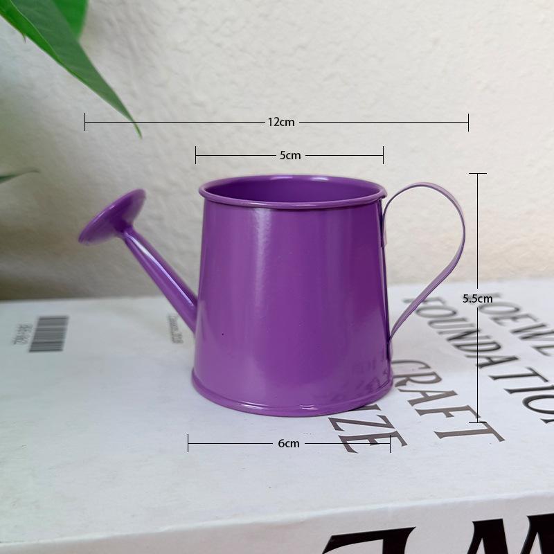 Mini Watering Can Metal Vintag - Gardening Tools Vintage 评论和价格