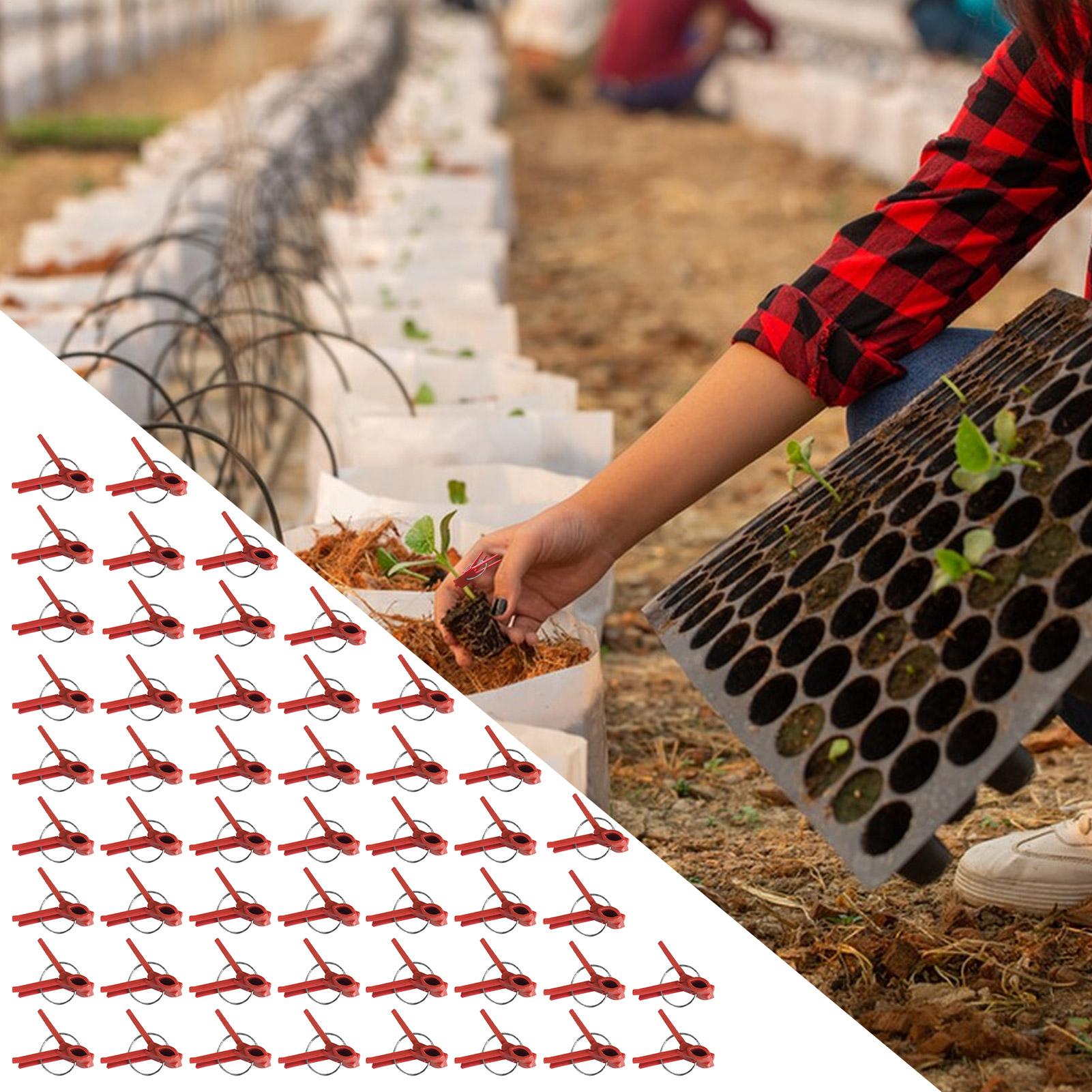 50Pcs Plant Grafting Clip Plas - Gardening Tools Uses 评论和价格