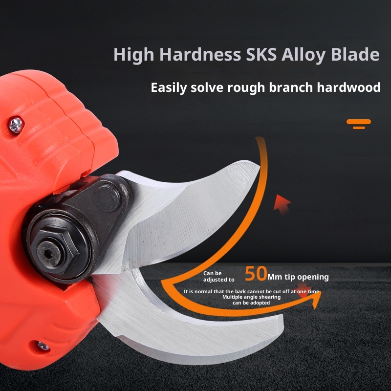 Garden Fruit Tree High Branch  - Pruning Shears 评论和价格