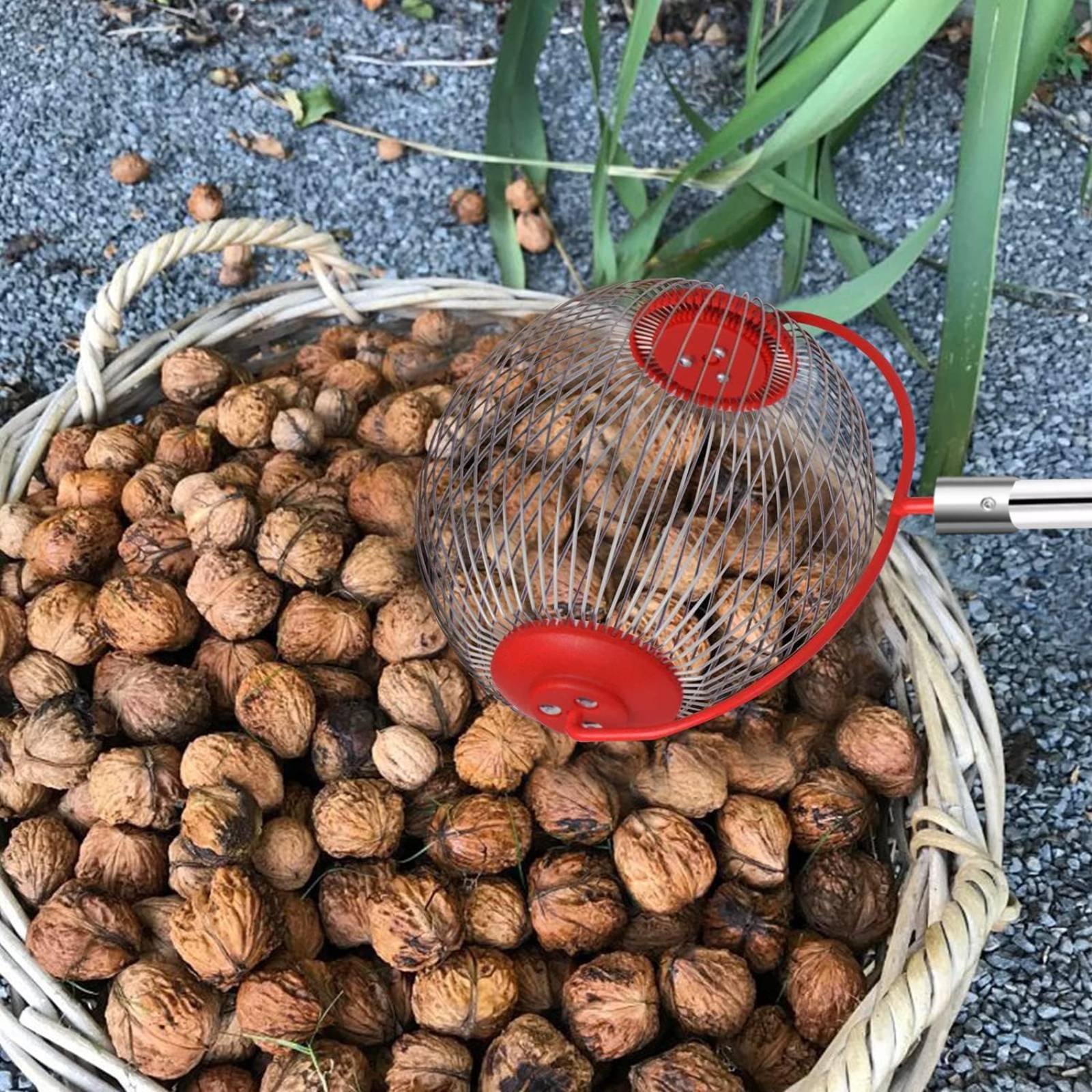 Chestnut Pickup Tool Easy to U - Gardening Tools Uses 评论和价格