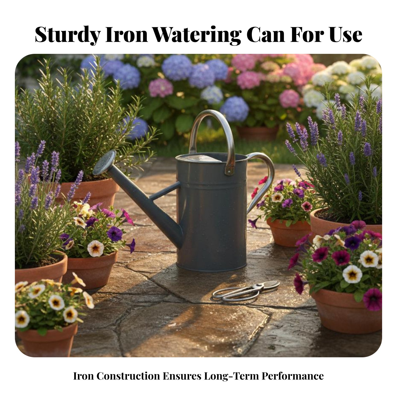 5L Garden Watering Pot Sturdy  - Gardening Tools Vintage 评论和价格