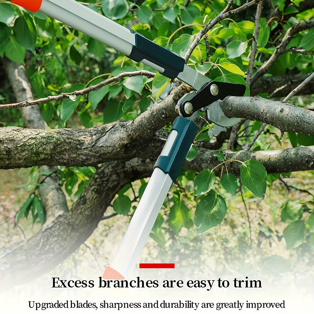 Pruning Shears Heavy Duty SK5  - Gardening Tools Heavy Duty 评论和价格