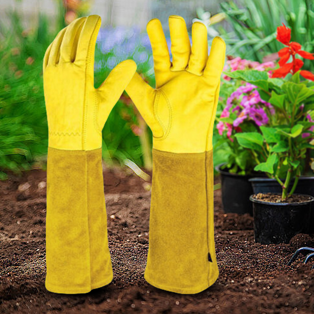 1 Pair Long Thorn Proof Garden - Garden Gloves Thorn Proof 评论和价格