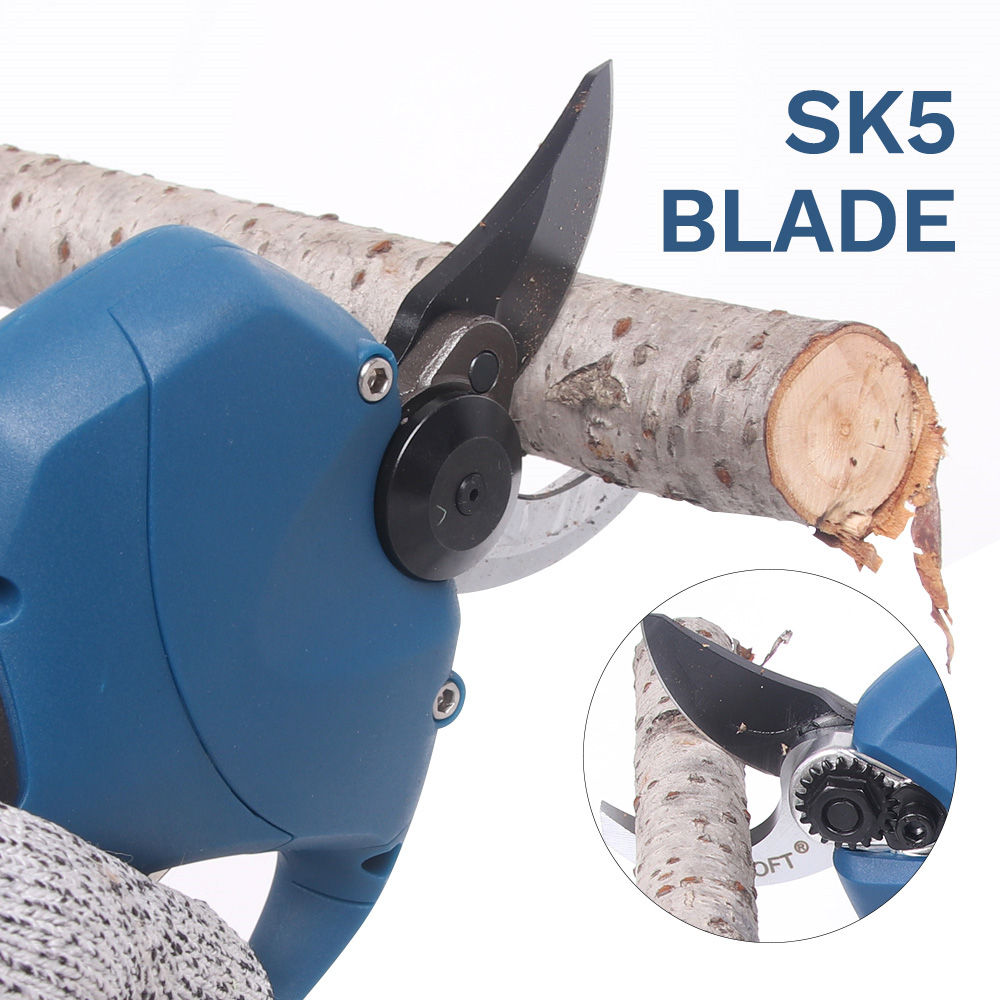 16.8V 2pc Lithium-Ion Battery  - Pruning Shears 评论和价格