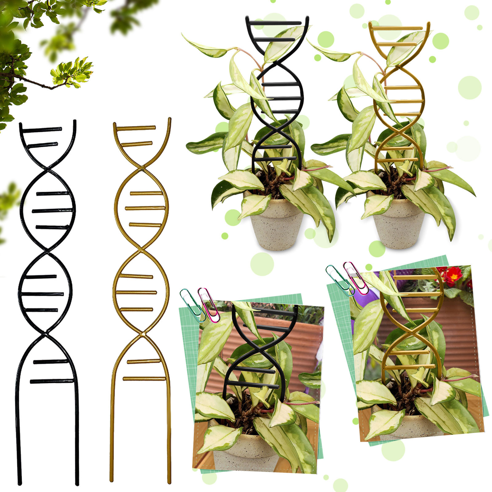 Plant Climbing Support Gardens - Gardening Tools Uses 评论和价格