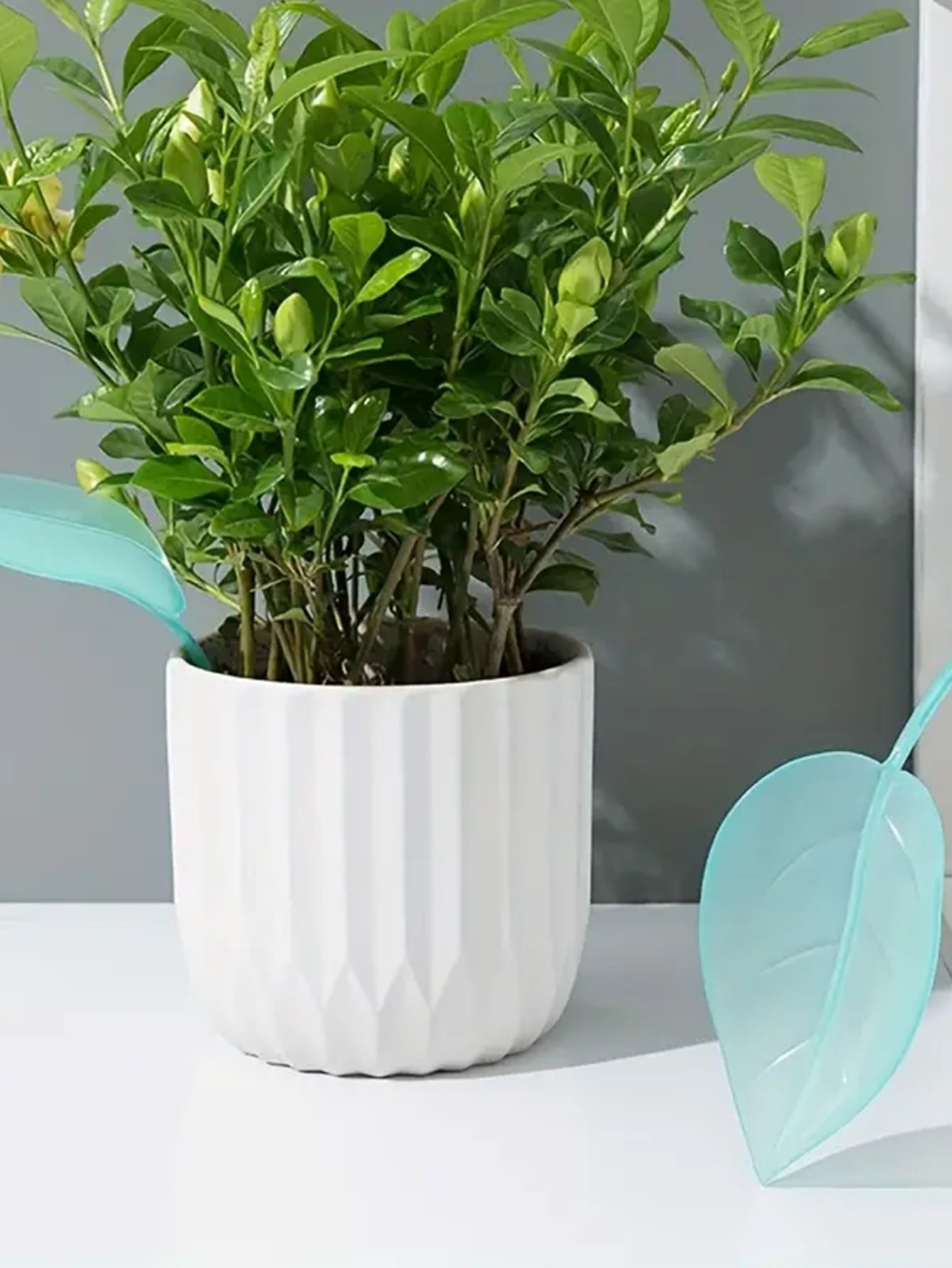 1pc Creative Irrigation Tools: - Gardening Tools Types 评论和价格