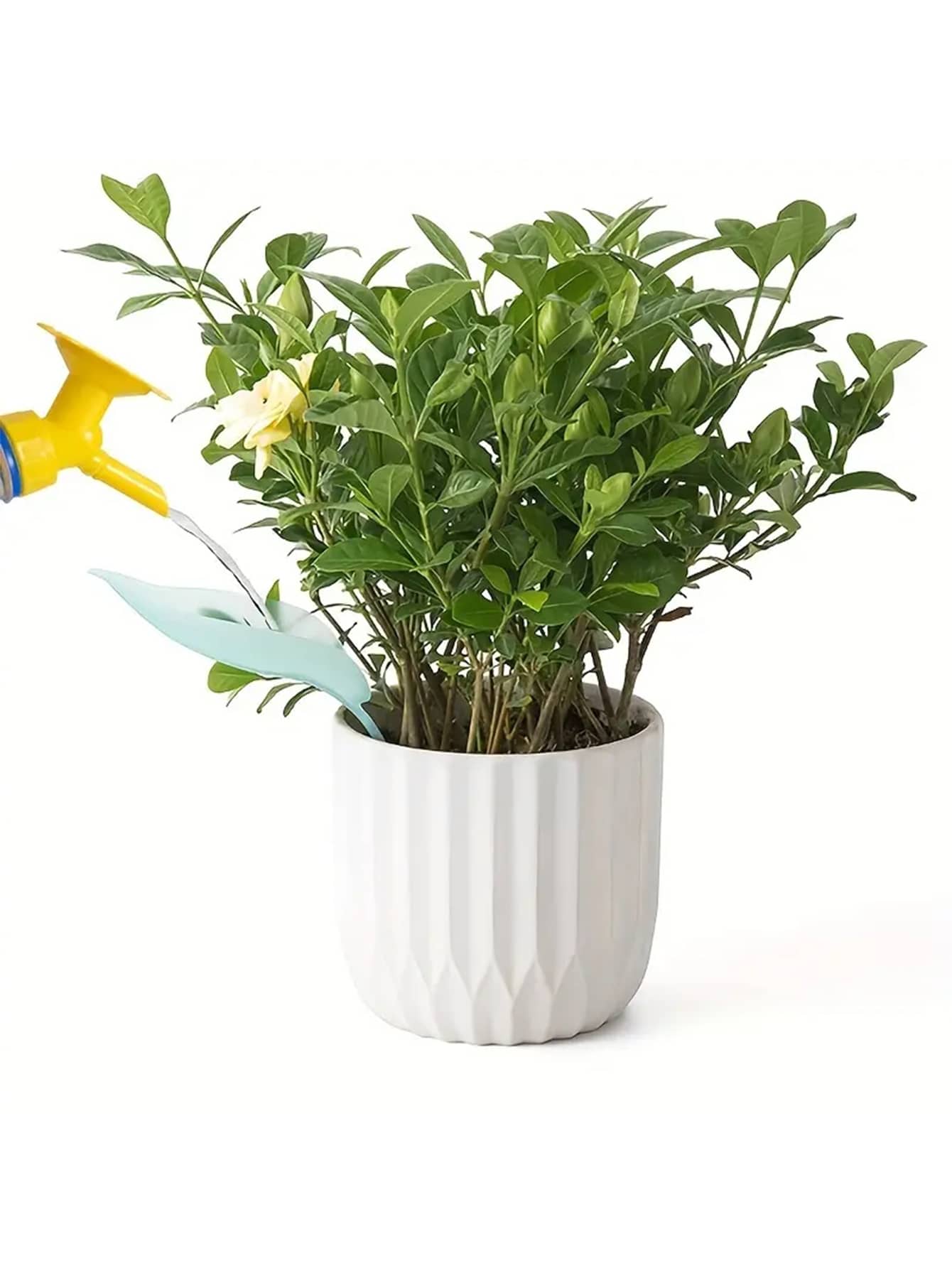 1pc Creative Irrigation Tools: - Gardening Tools Types 评论和价格