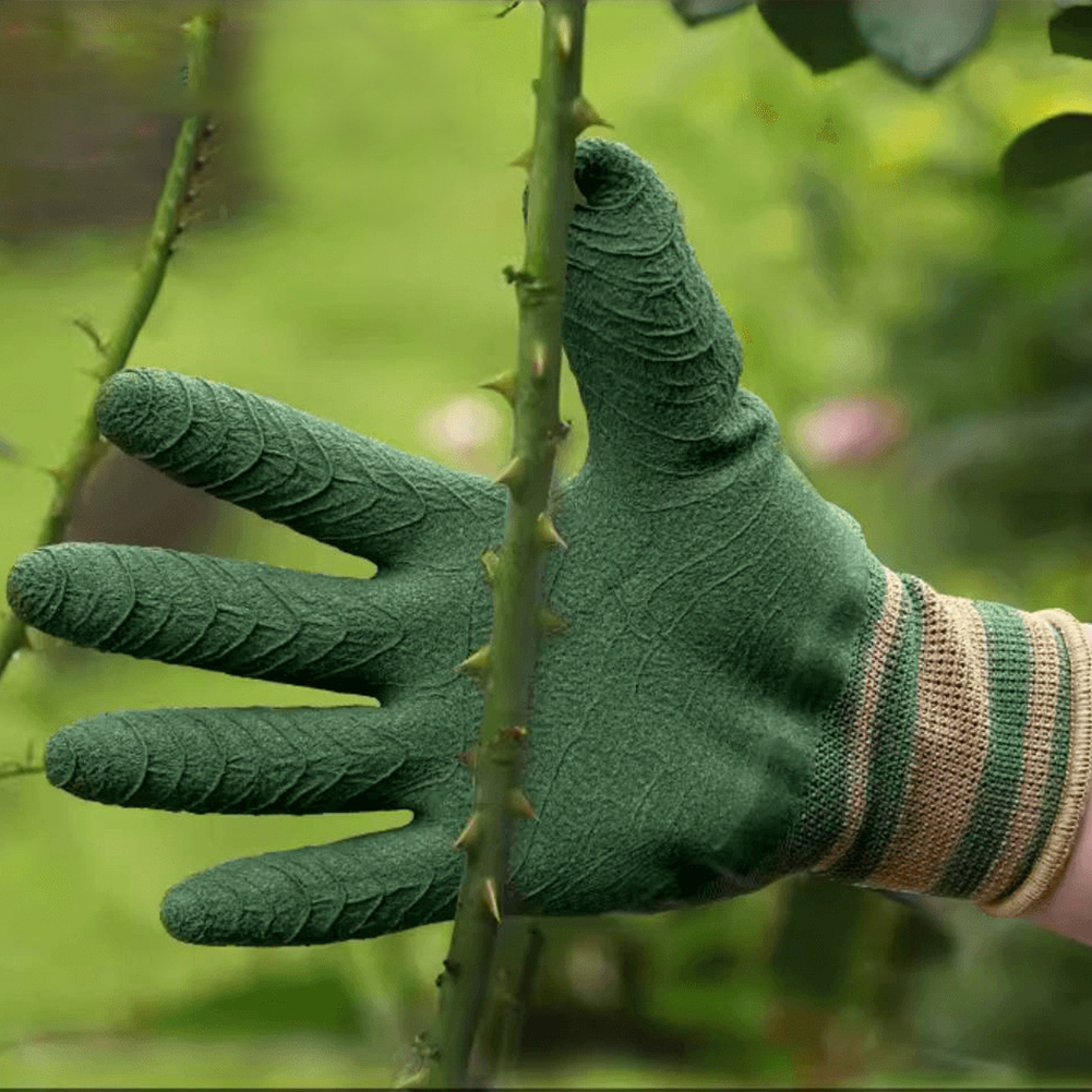 Gardening Gloves Thorn Proof R - Garden Gloves Thorn Proof 评论和价格