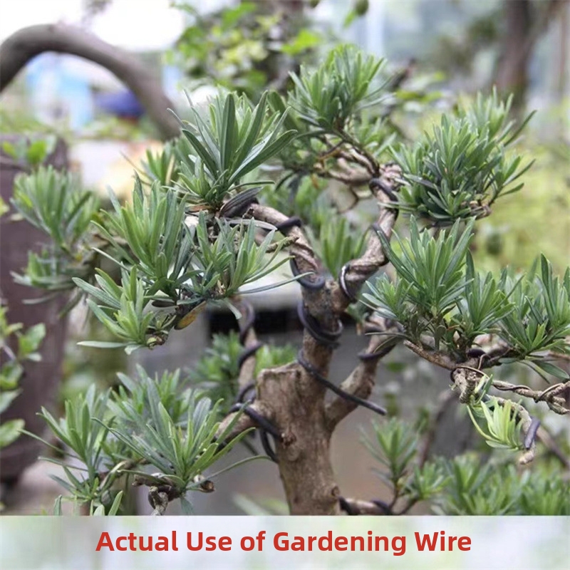 1.5MM Bonsai Wires Aluminum Bo - Gardening Tools Uses 评论和价格