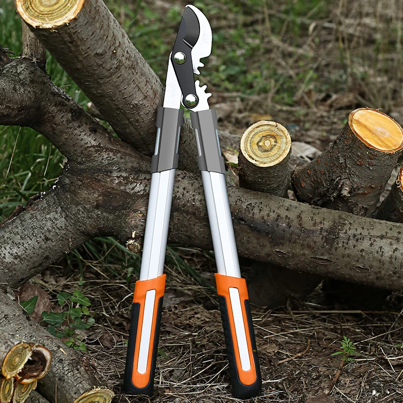 Long Length Scissor Hedge Anvi - Gardening Tools German 评论和价格