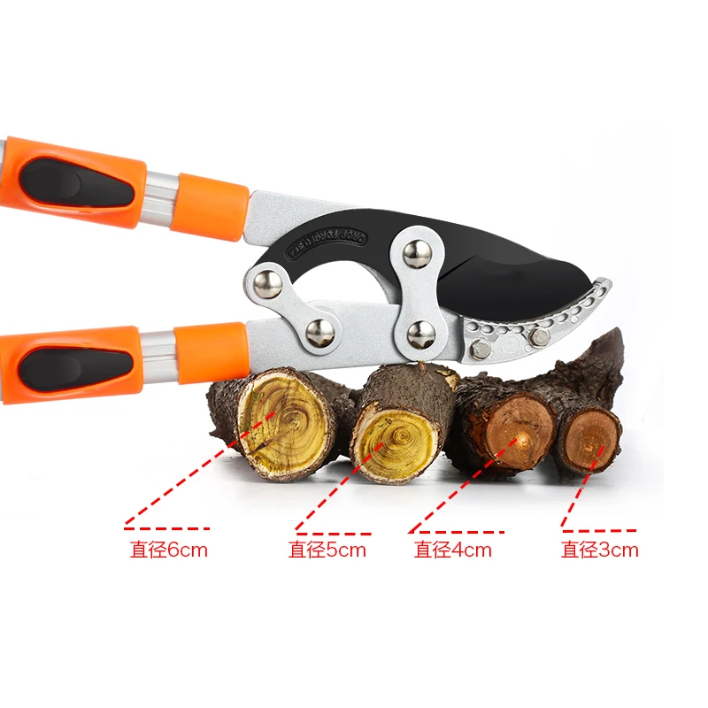 Long Length Scissor Hedge Anvi - Gardening Tools German 评论和价格