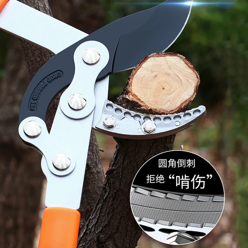 Long Length Scissor Hedge Anvi - Gardening Tools German 评论和价格