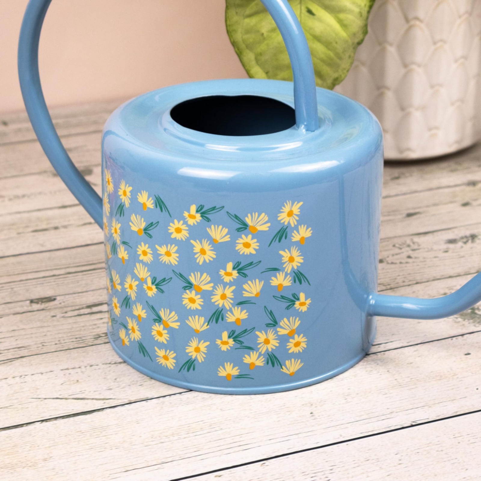 Long Spout Watering Can Floral - Gardening Tools Watering Can 评论和价格
