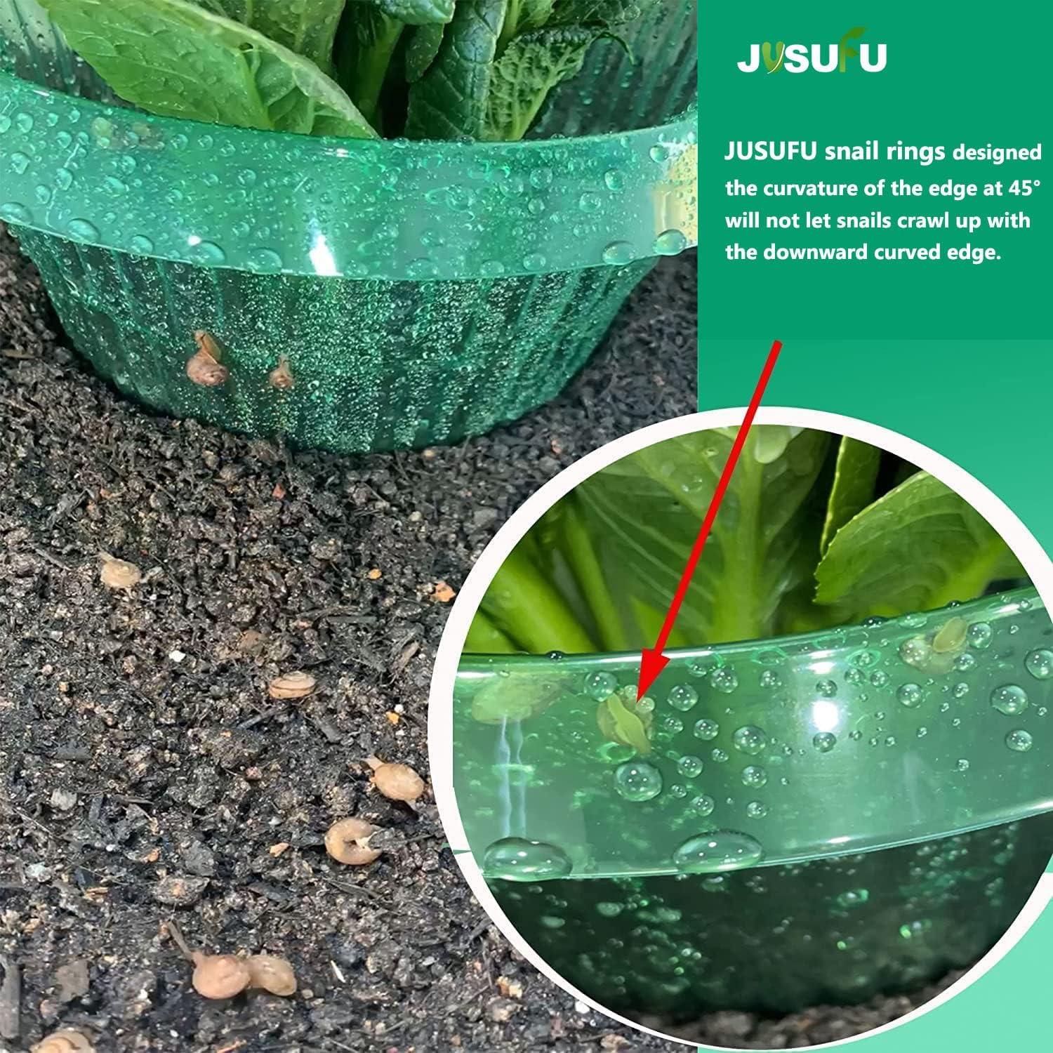 1/30pcs Plants Slug Protection - Gardening Tools Green 评论和价格