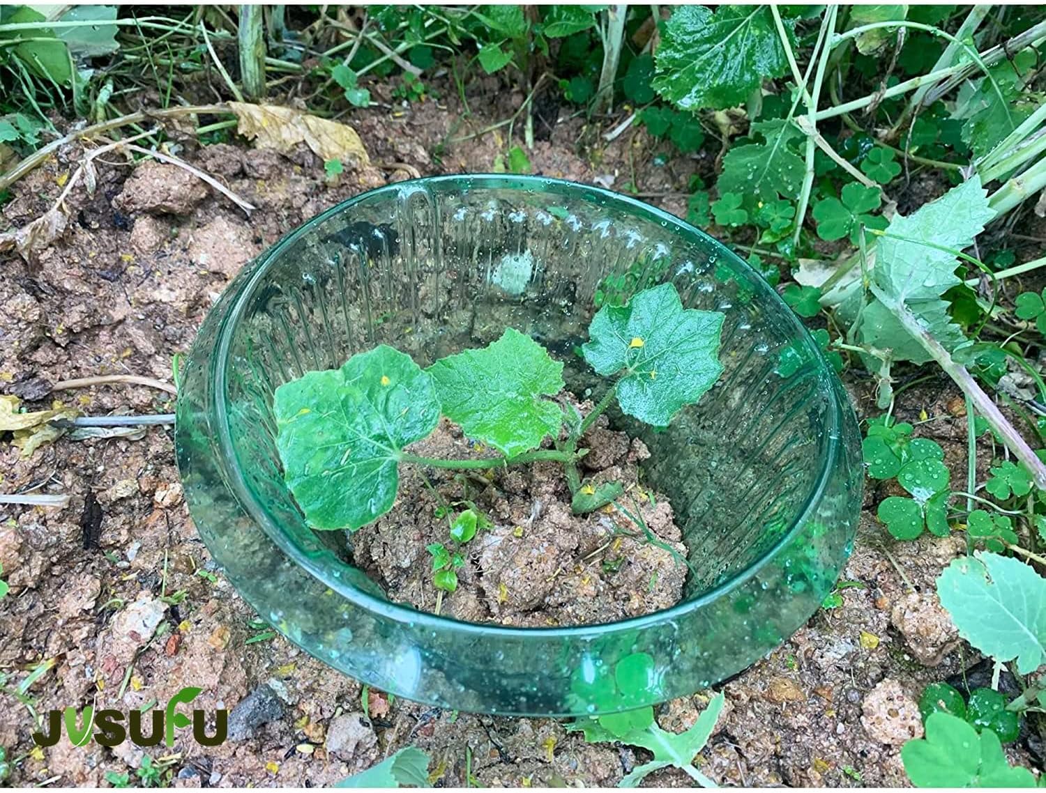 1/30pcs Plants Slug Protection - Gardening Tools Green 评论和价格