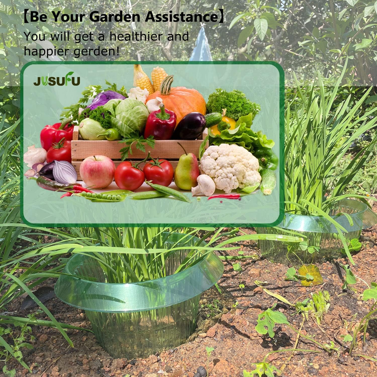1/30pcs Plants Slug Protection - Gardening Tools Green 评论和价格