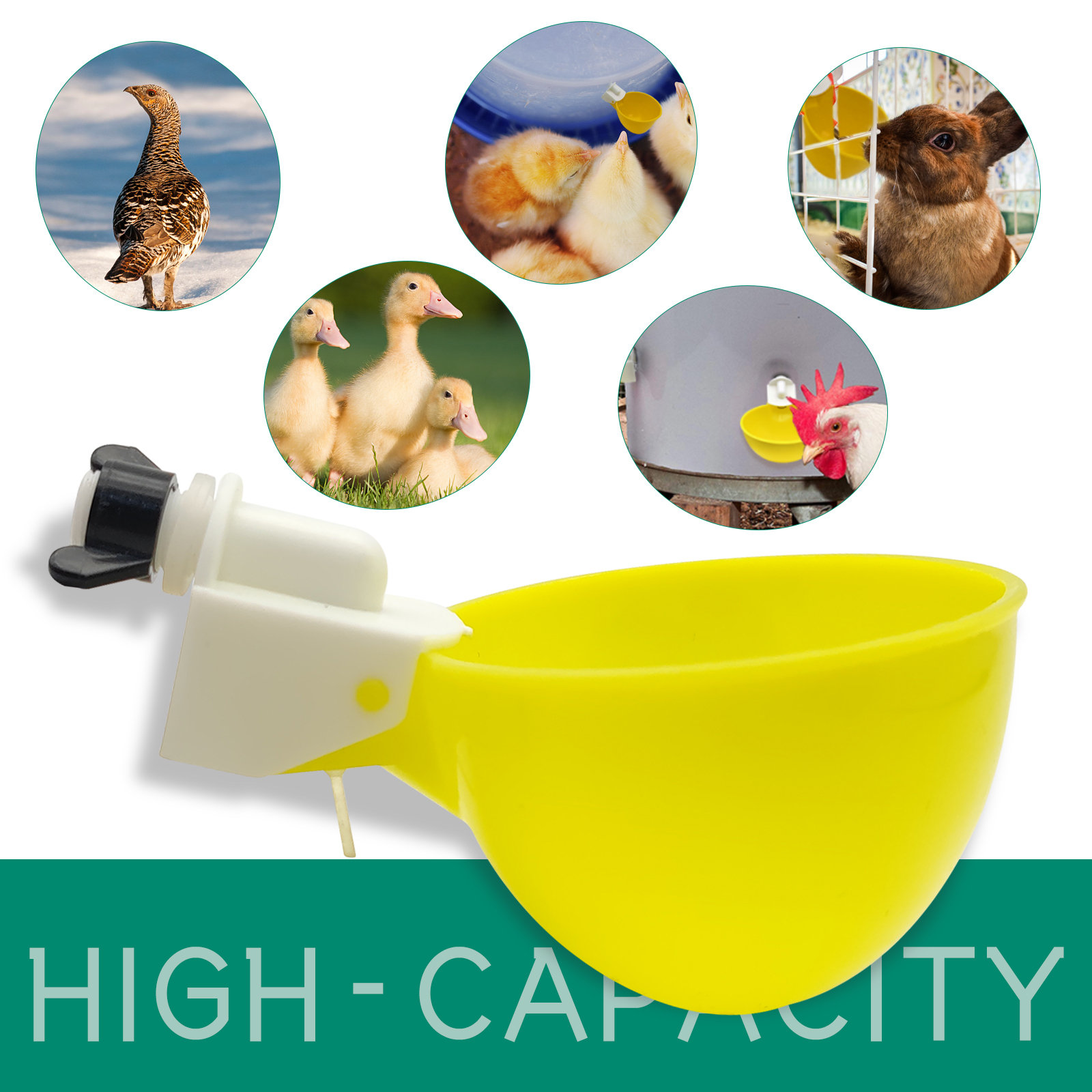 10PCS Chicken Drinker Cup Poul - Fertilizer Dispenser 评论和价格