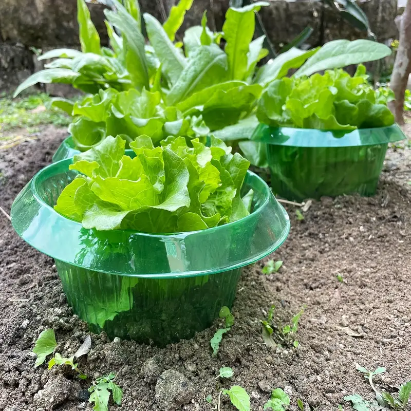 Plants Slug Protection Rings V - Gardening Tools Green 评论和价格