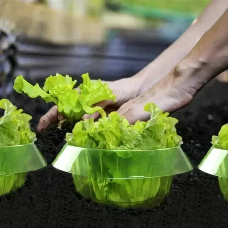 Plants Slug Protection Rings V - Gardening Tools Green 评论和价格