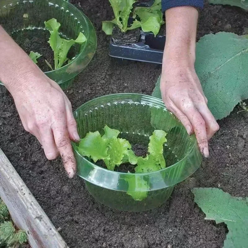 Plants Slug Protection Rings V - Gardening Tools Green 评论和价格