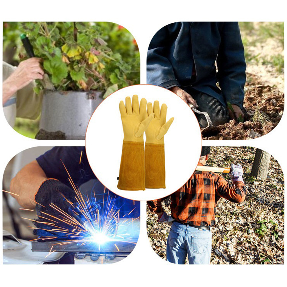 1 Pair Long Thorn Proof Garden - Garden Gloves Thorn Proof 评论和价格