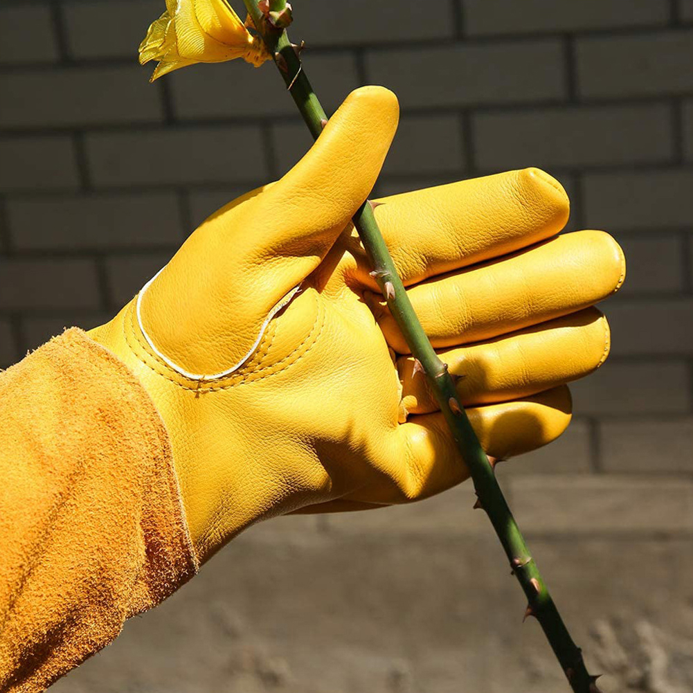 1 Pair Long Thorn Proof Garden - Garden Gloves Thorn Proof 评论和价格