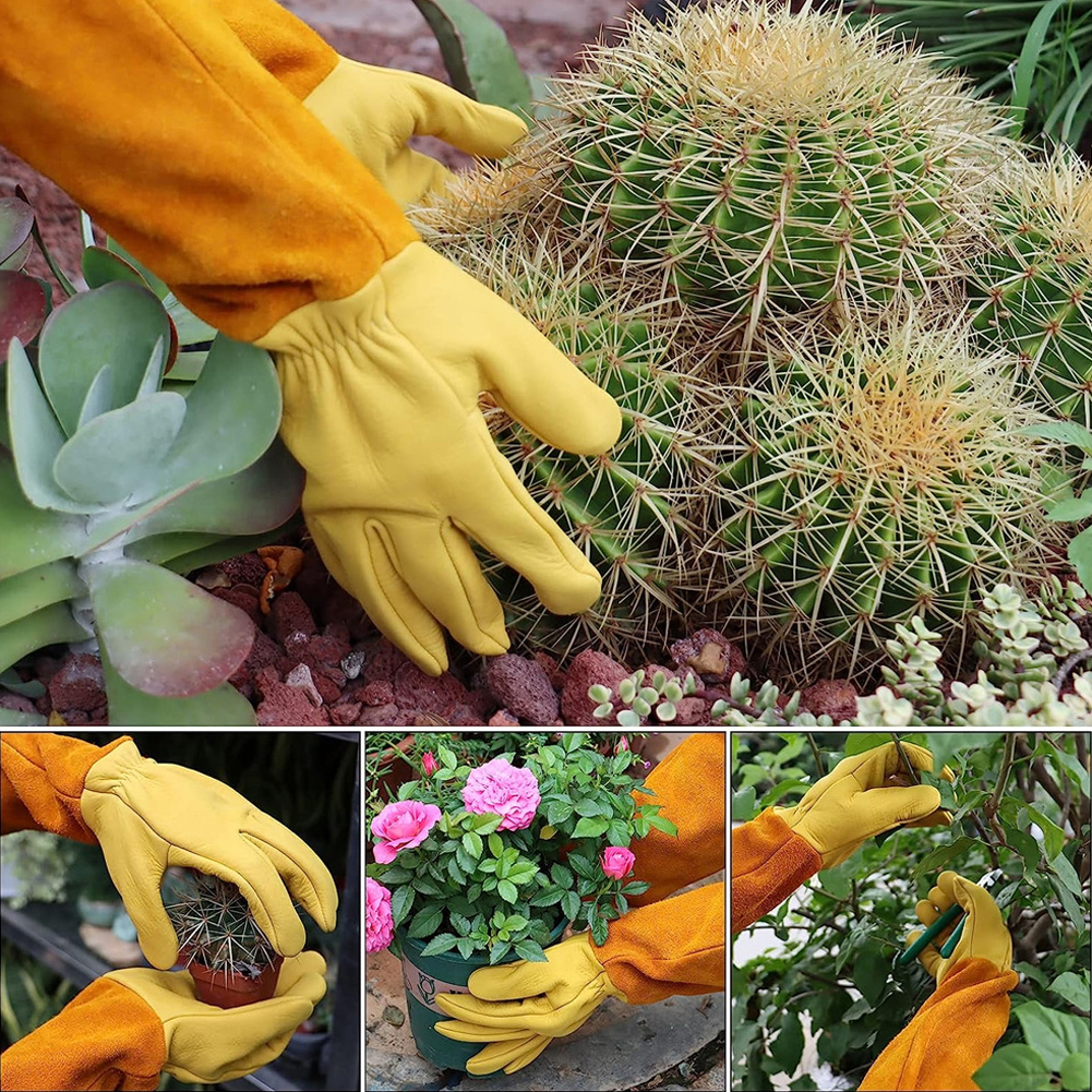 1 Pair Long Thorn Proof Garden - Garden Gloves Thorn Proof 评论和价格