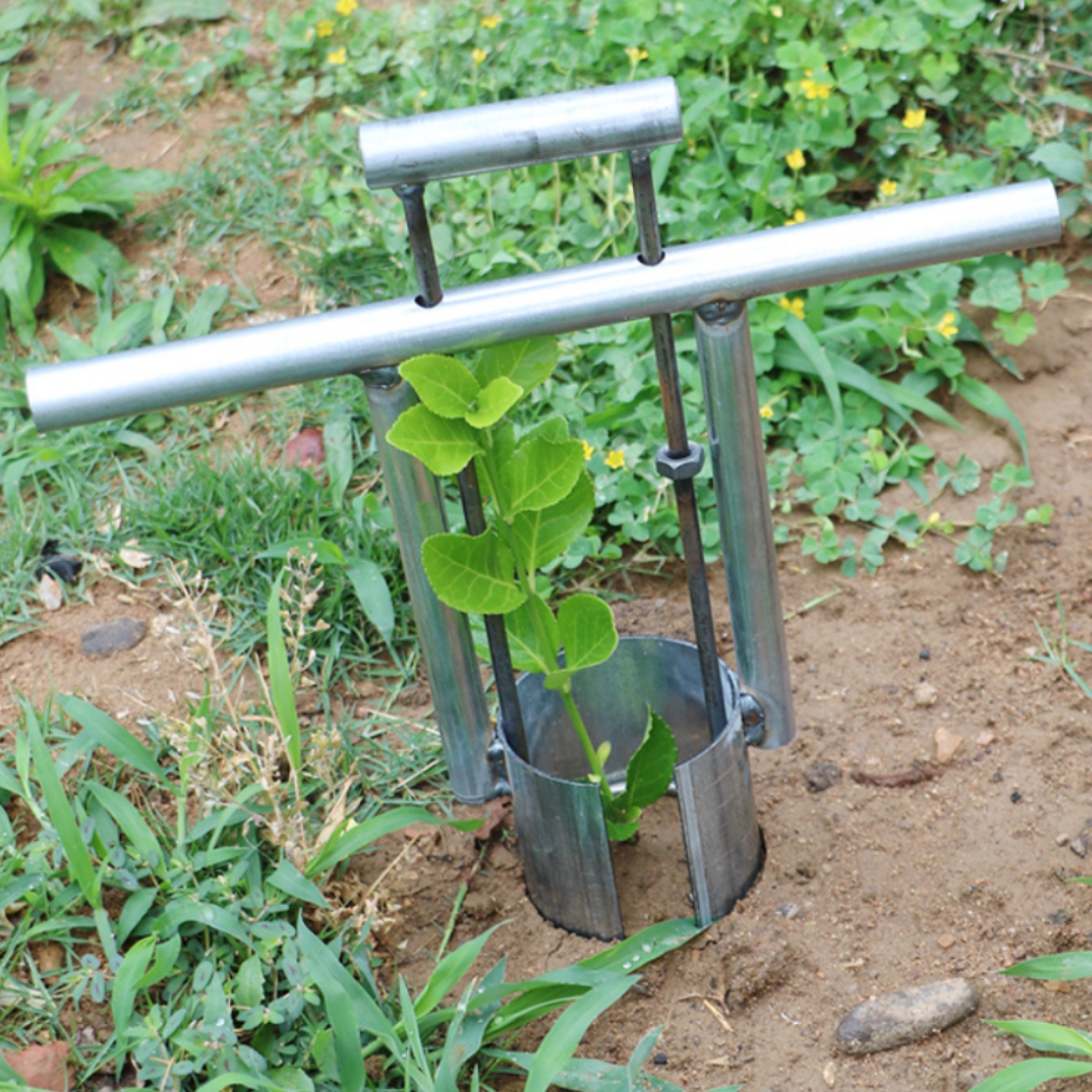Handheld Tray Transplanter wit - Gardening Tools Uses 评论和价格