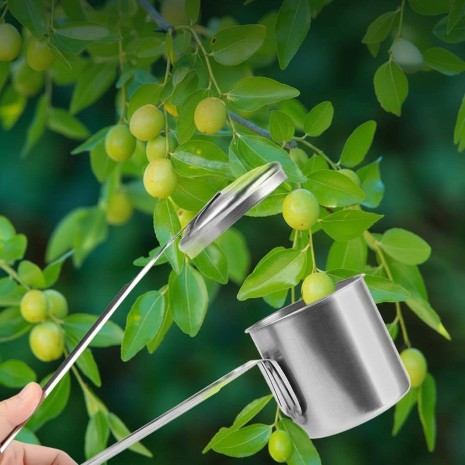 Cup Fruit Picker Stainless Ste - Gardening Tools Uses 评论和价格