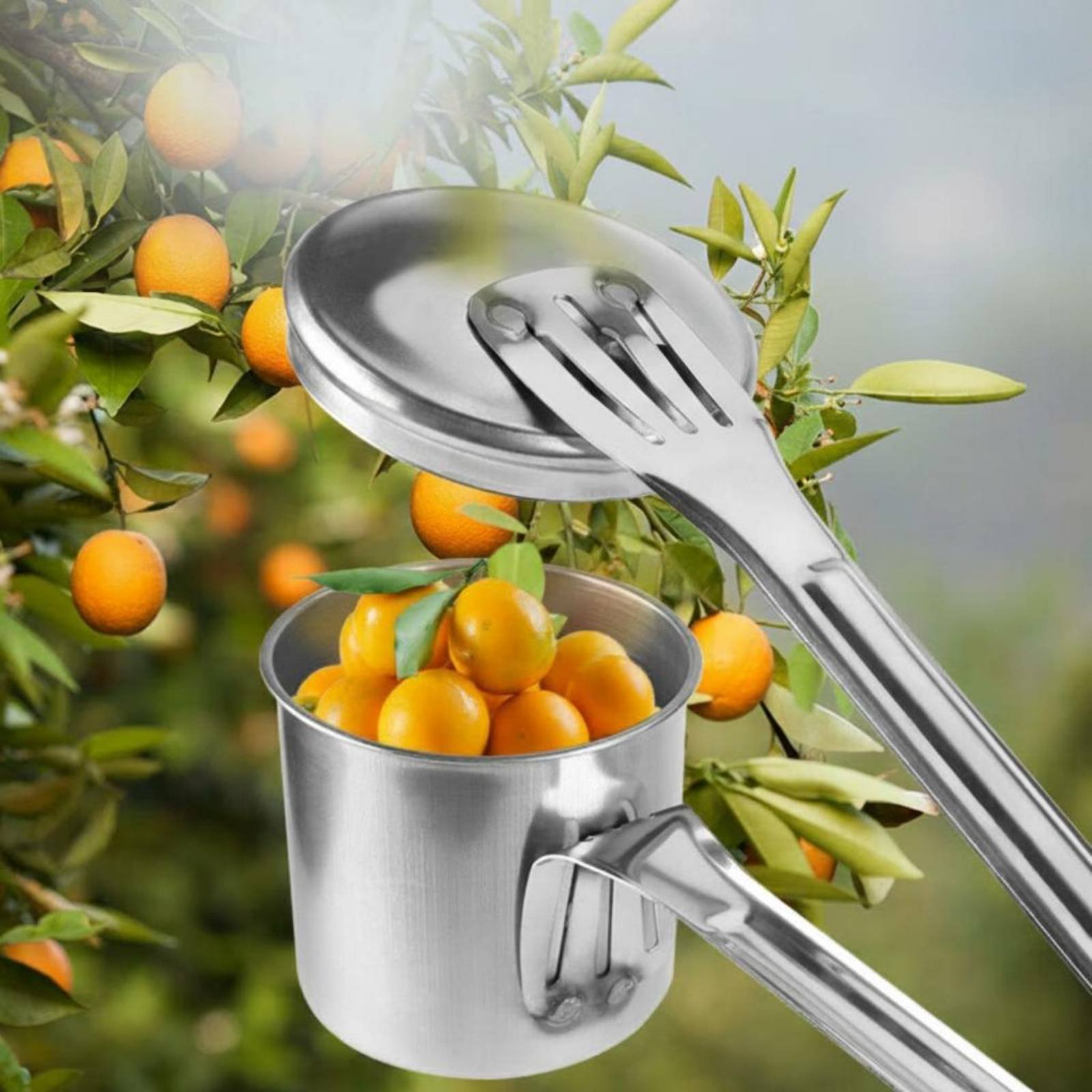 Cup Fruit Picker Stainless Ste - Gardening Tools Uses 评论和价格