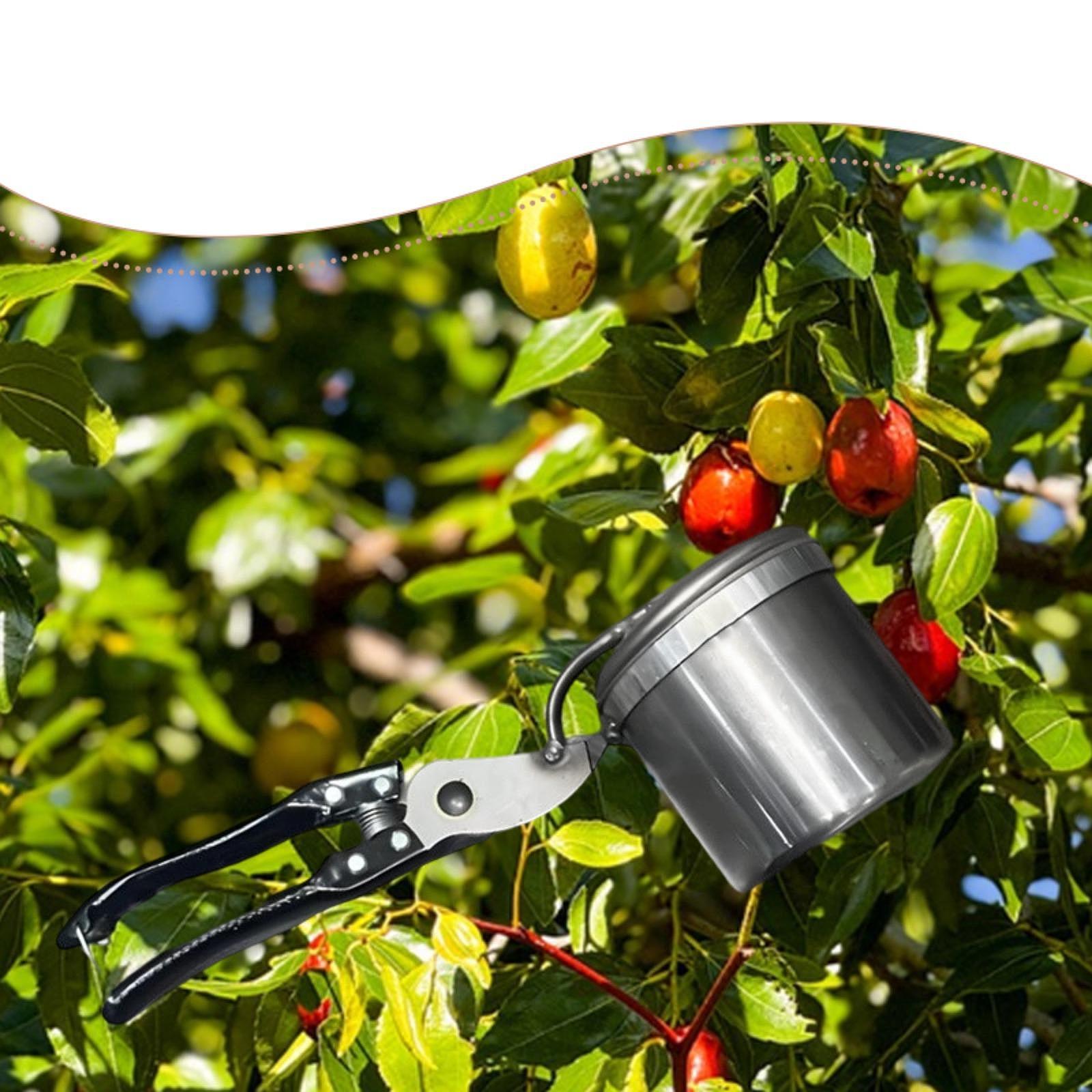 Fruit Picker, Easy to Use Port - Gardening Tools Uses 评论和价格