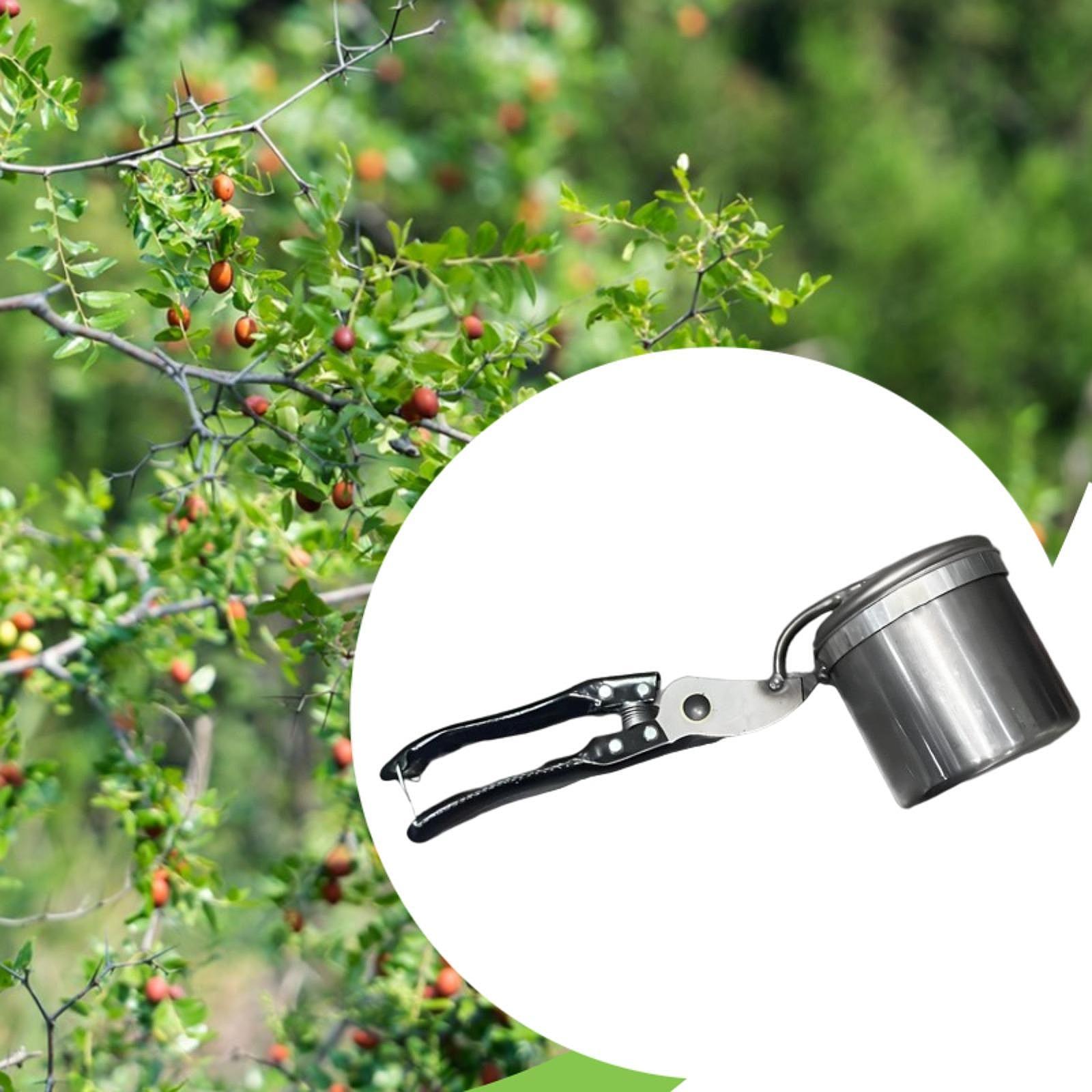 Fruit Picker, Easy to Use Port - Gardening Tools Uses 评论和价格