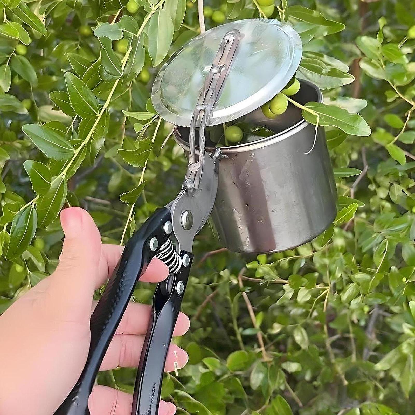 Fruit Picker, Easy to Use Port - Gardening Tools Uses 评论和价格